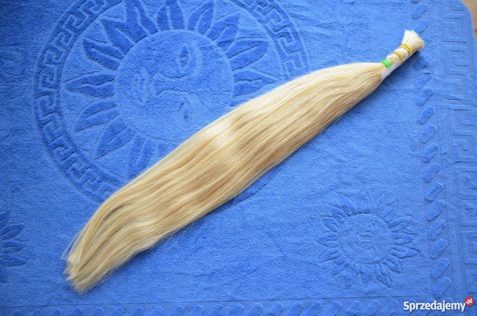 Włosy słowiańskie i dziewicze 51 97 g dolnośląskie Wrocław