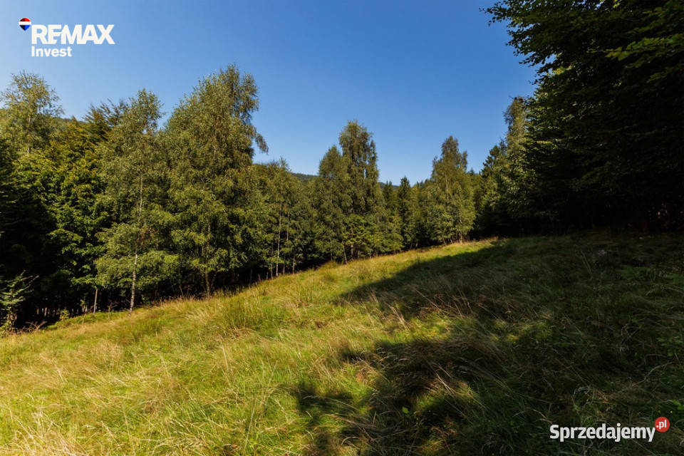 Działka z widokiem na góry Międzybrodzie Sprzedaż śląskie sprzedam
