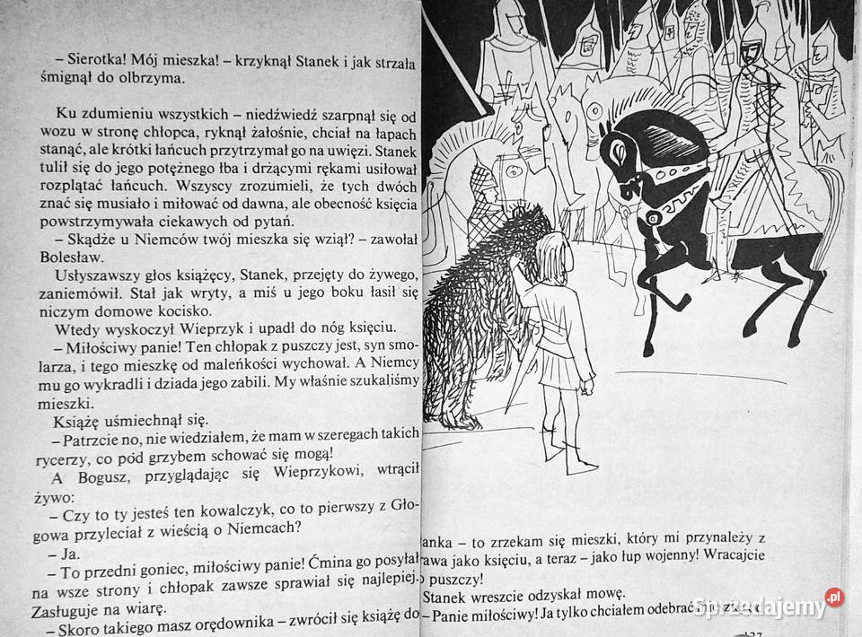 Przyjaciele Czesława NiemyskaRączaszkowa miękka Chełm sprzedam