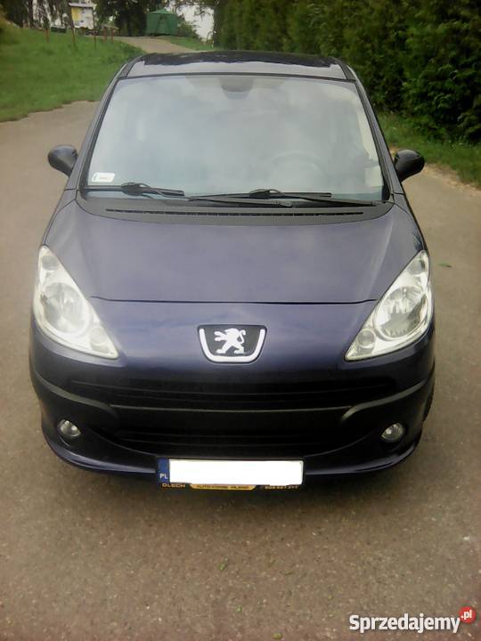 Peugeot 1007 14 BenzynaLPG 151500km podkarpackie Srogów Górny