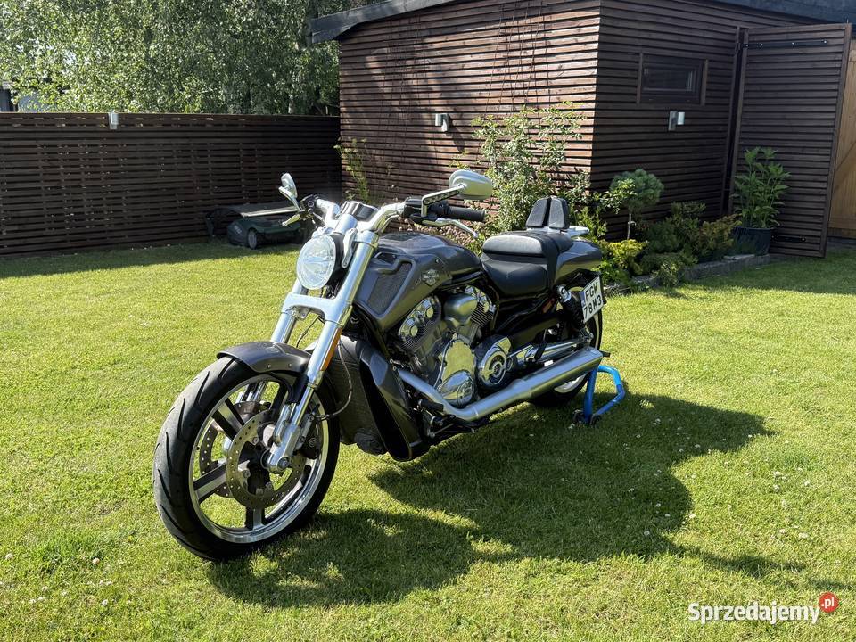 HARLEYDAVIDSON VROD MUSCLE 2014 Gorzów Wielkopolski
