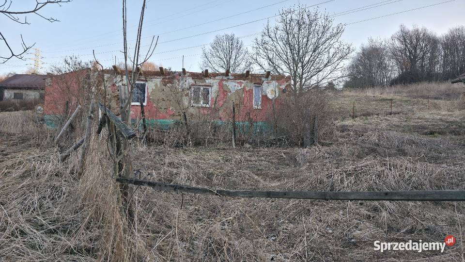 Dom ze Stodołą i Stajną 190 ha Woźniczna