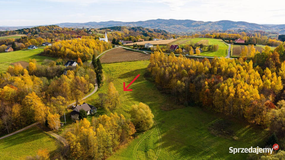 Działka budowlana Meszna Opacka 16 ar budowlana małopolskie