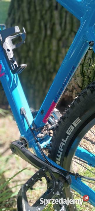 Marin Bobcat Trail 3 M Rower górski MTB Górskie, MTB Leszno sprzedam