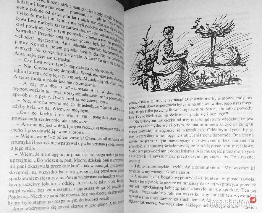 Wymarzony dom Ani Lucy Maud Montgomery Chełm