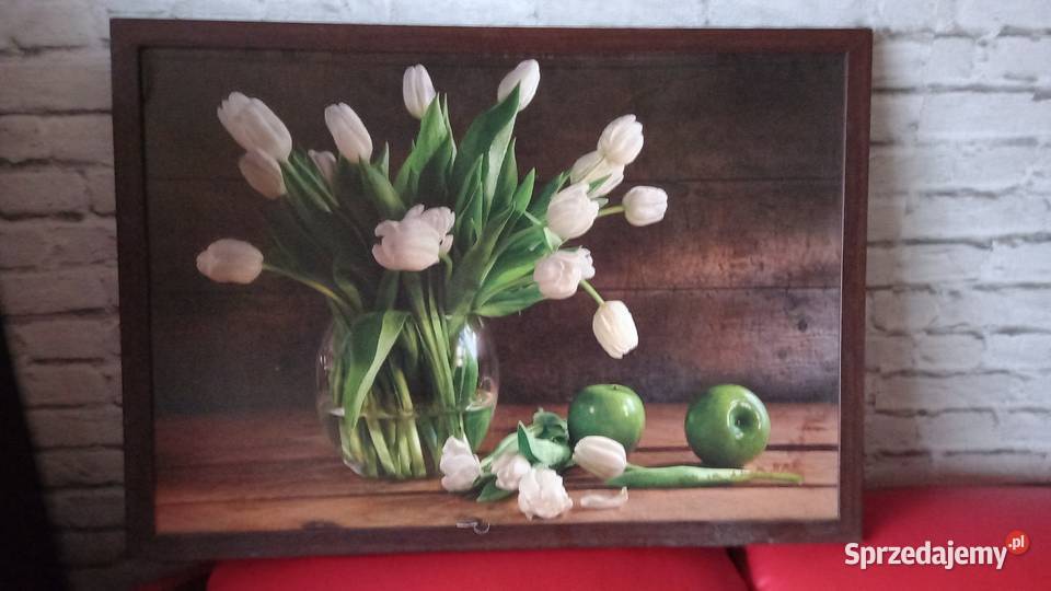 7251 PIĘKNE TULIPANY mazowieckie Warszawa