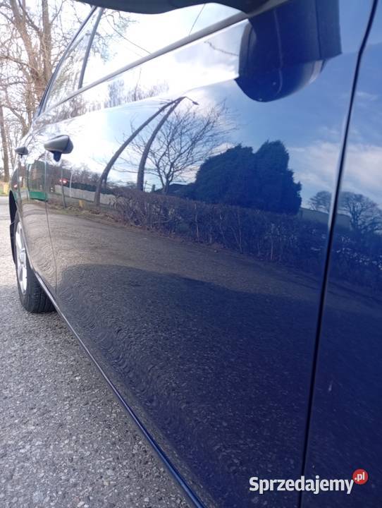 Polerowanie Malowanie szpachlowanie Pław