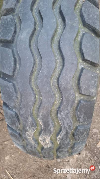 Siewnik Mazur Sokołów Podlaski