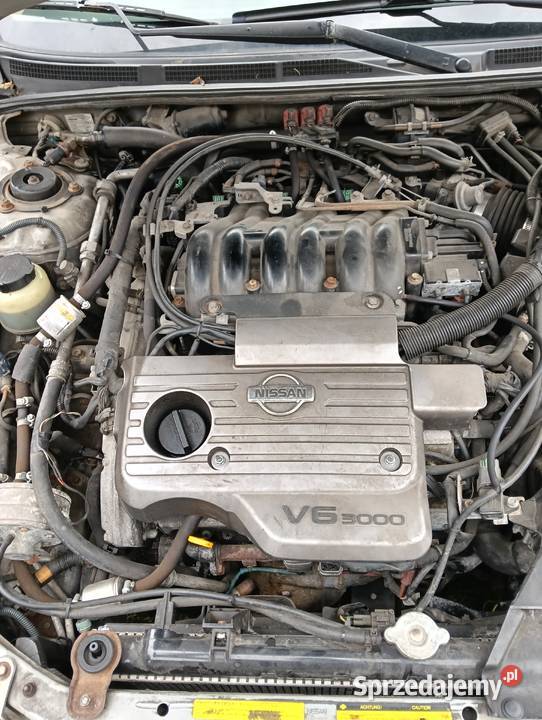 Nissan Maxima Węgliniec