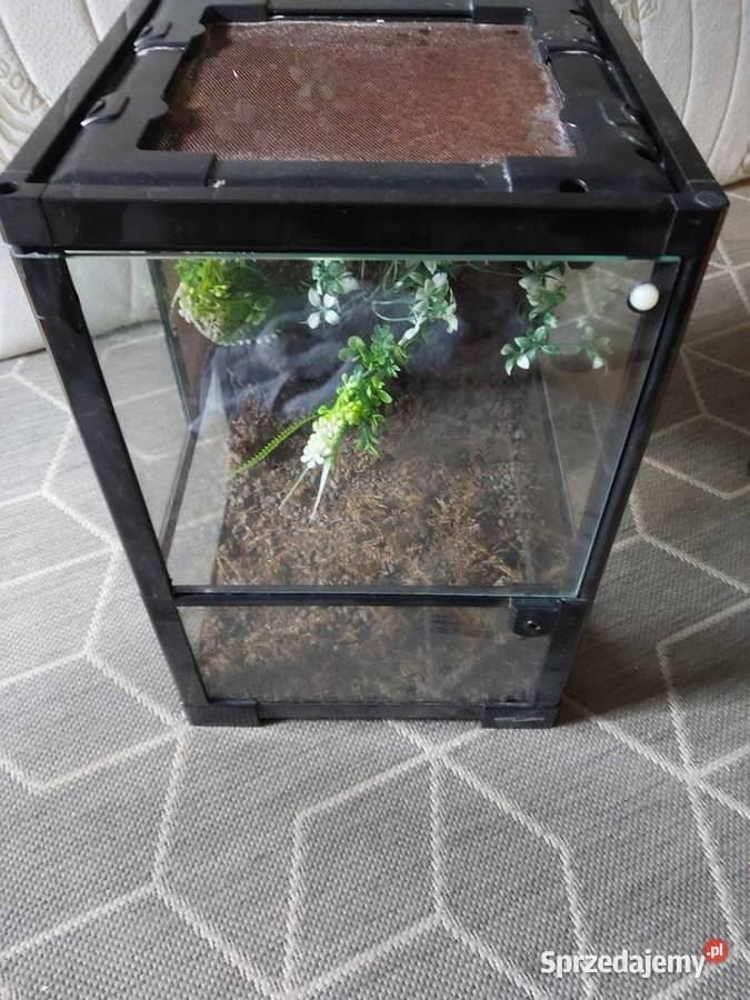 Terrarium mazowieckie Warszawa