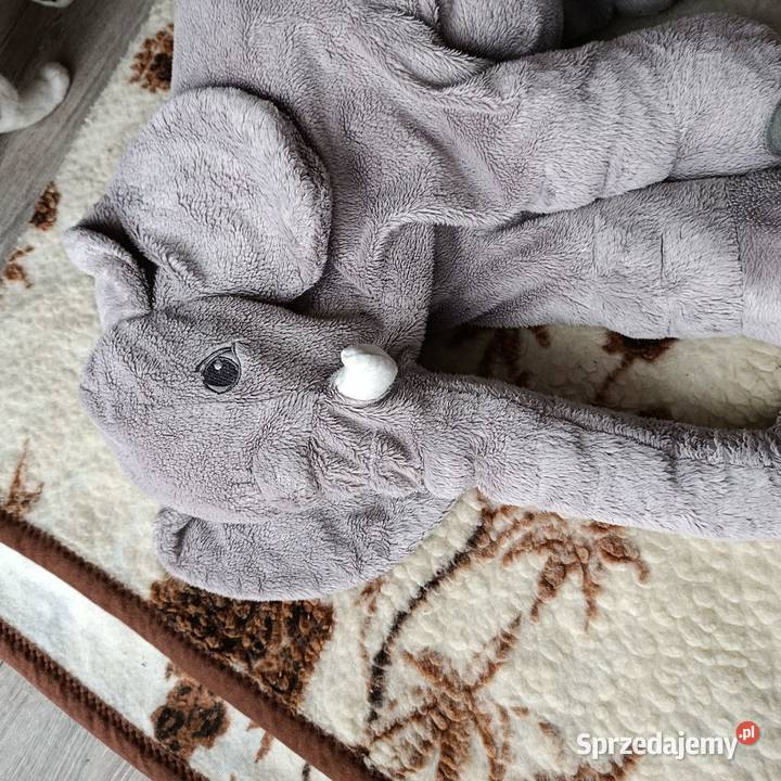 miś maskotka pluszak słoń Poznań