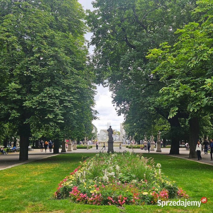 Apartament PREMIUM Stare MiastoOgród Saski Wynajem Warszawa