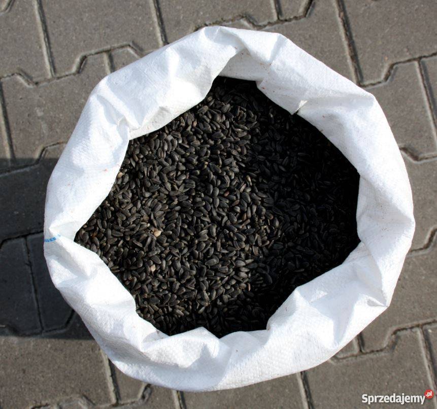 Słonecznik CZARNY Drobny CZYSTY 30 karma ptaków sprzedam