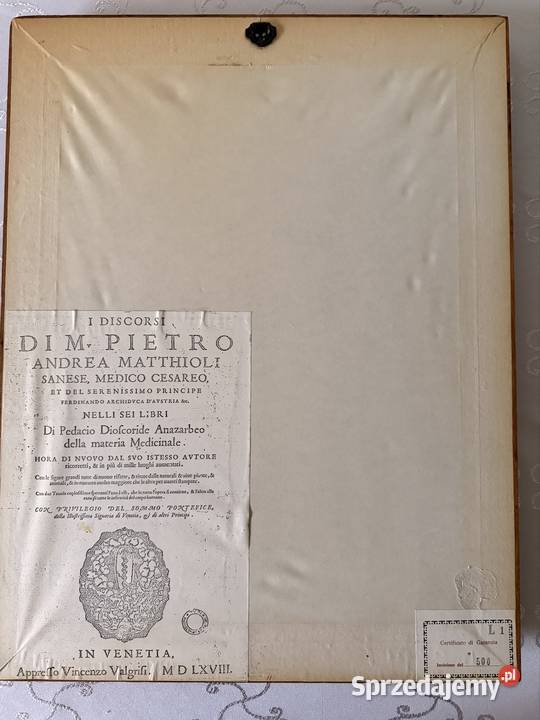 Antyczny Miedzioryt 1563 Rycina Botaniczna Czerwionka-Leszczyny sprzedam