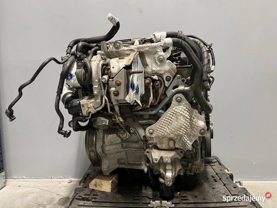 Silnik kompletny Mazda PY8W 25 Henryszew