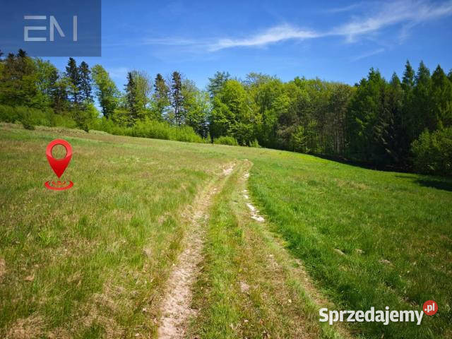 sprzedaży gruntu Lutcza 7000m2 podkarpackie