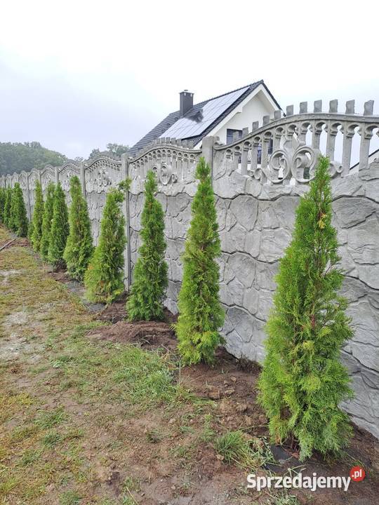 Ogrodzenia betonowe Wrocław Producent