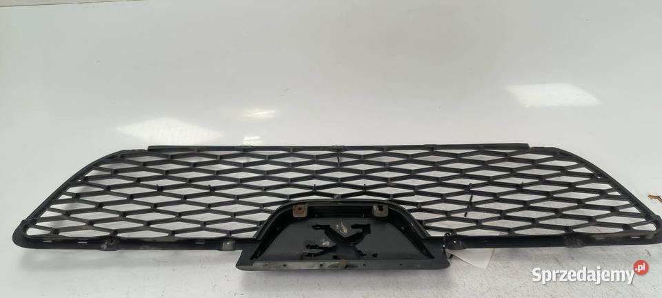 GRILL ATRAPA PEUGEOT BOXER II Pozostałe kujawsko-pomorskie Lipno