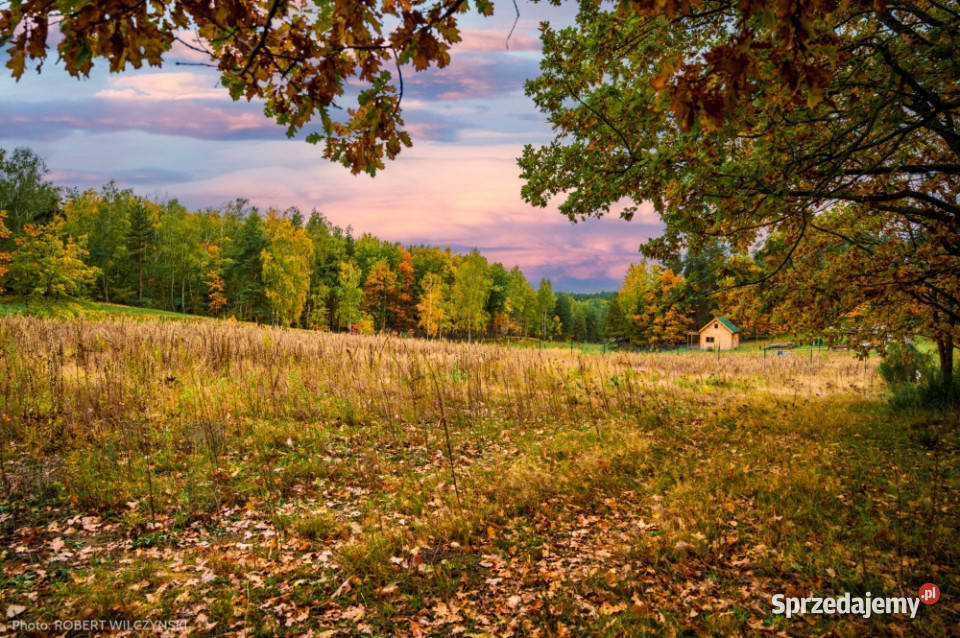 Prywatne Wzgórze Morenowe Panorama i Cisza w