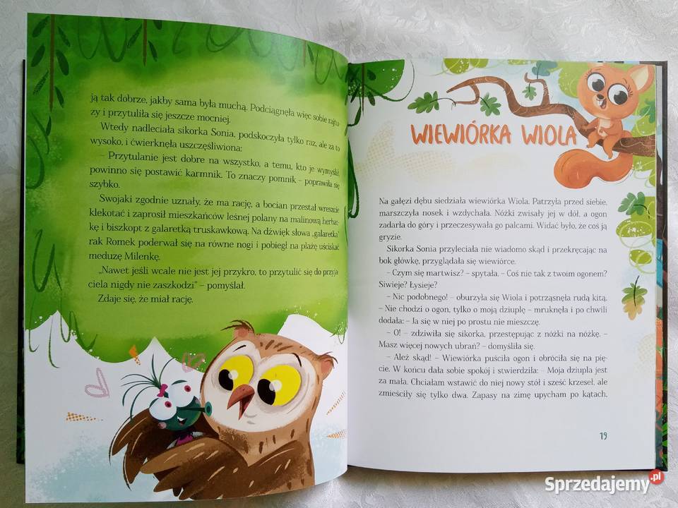 nowa książka gang swojaków swojaki biedronka sprzedam