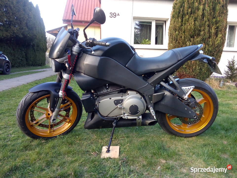 Buell xb12s lightning harley davidson sportster