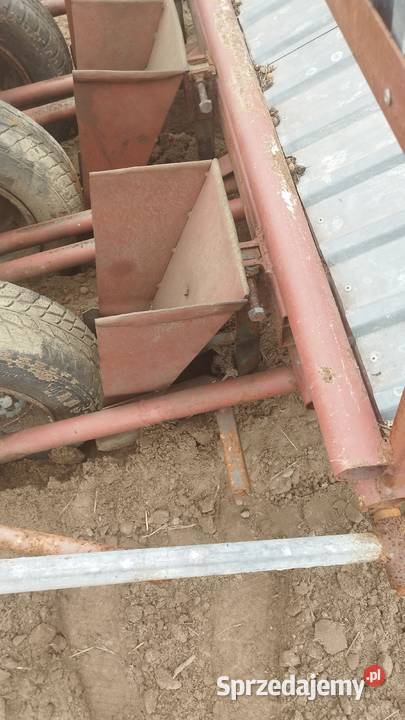 Sadzarka do mięty Rząśno