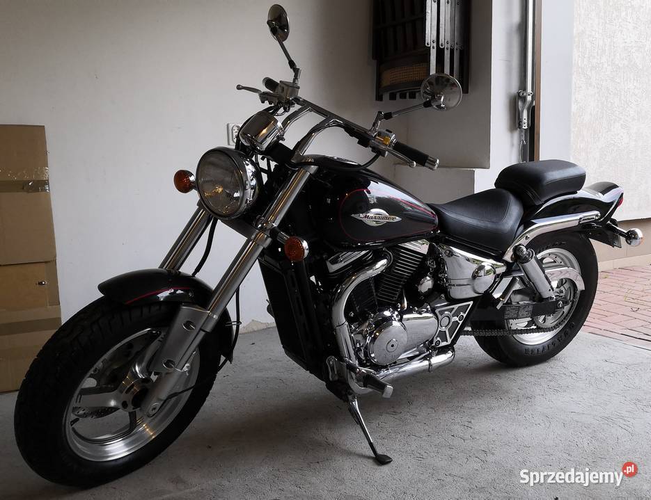 olx suzuki marauder 800