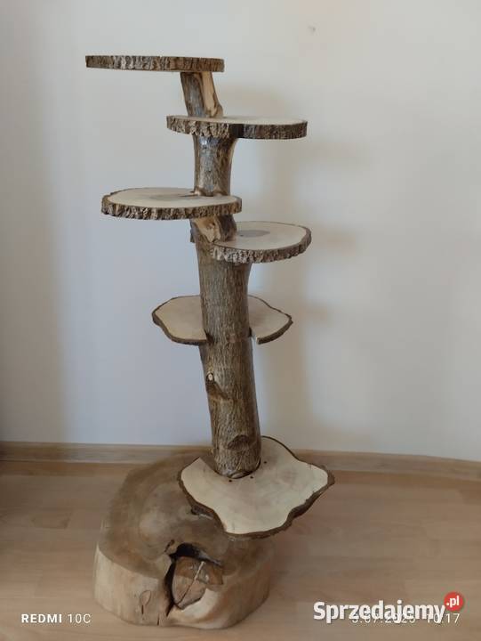 Kwietnik Kwietniki podkarpackie