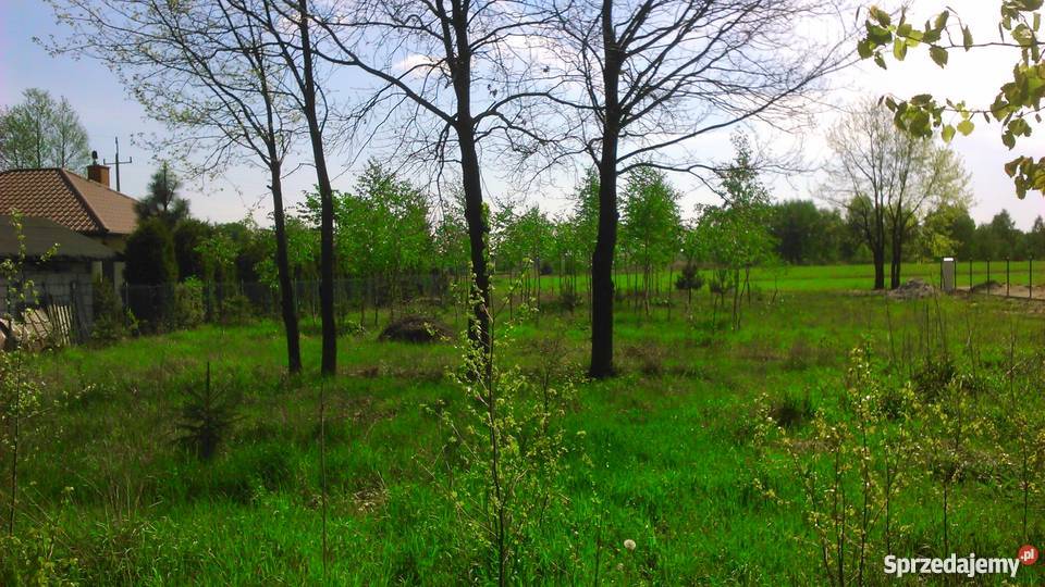 Działka budowlana Tomaszów Maz Ciebłowice Duże Ciebłowice Duże sprzedam