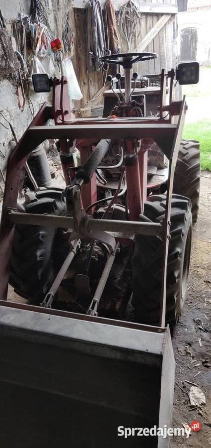 Miniładowarka przegubowa Weidemann 100 wielkopolskie Dziegciarnia