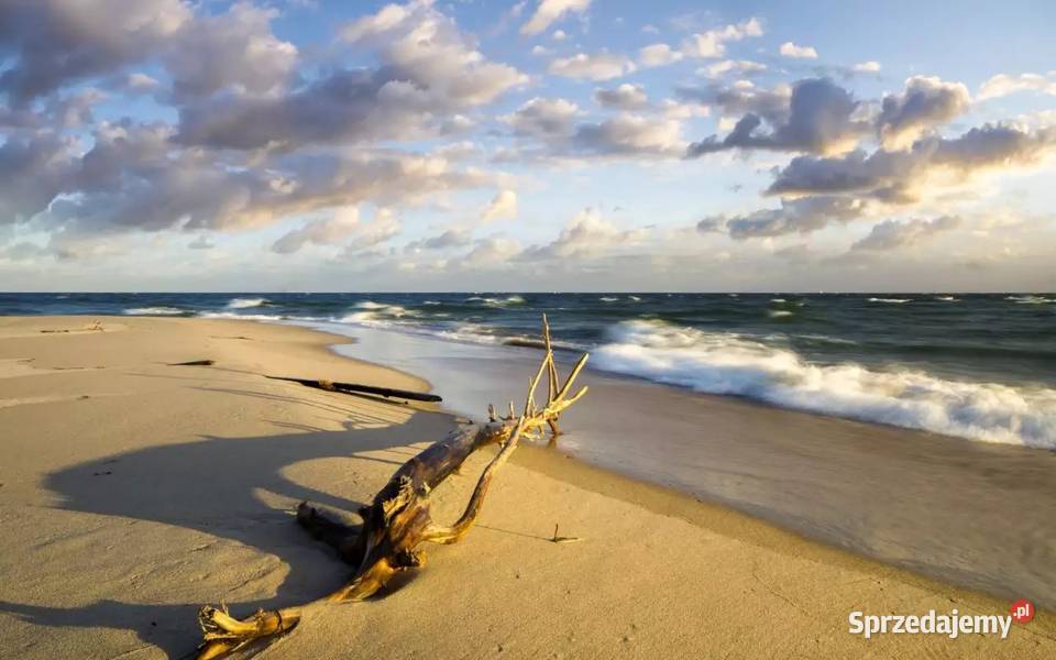 POLSKIE MORZE POBIEROWO Wyjazd z Nowego Sącza Nowy Sącz