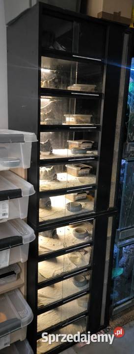 Rack system regał terrarium węże jaszczurki śląskie