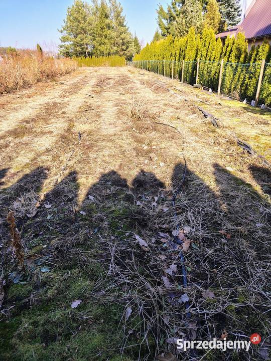 Działka ogrody działkowe rafałówka