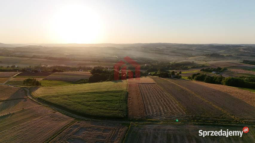 Grunt 3000m2 Brzeziny 60m Sprzedaż