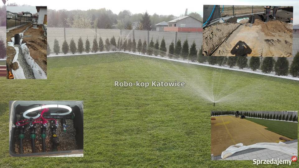 Zakładanie trawników systemy nawadniania Katowice