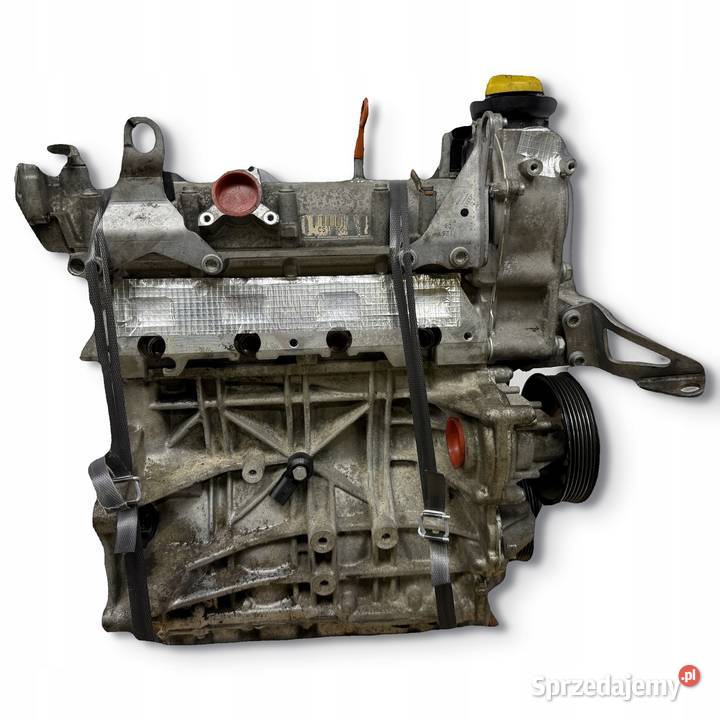 SILNIK BLF Audi A3 II 8P Skoda Octavia II 16 FSI osobowe Chełm