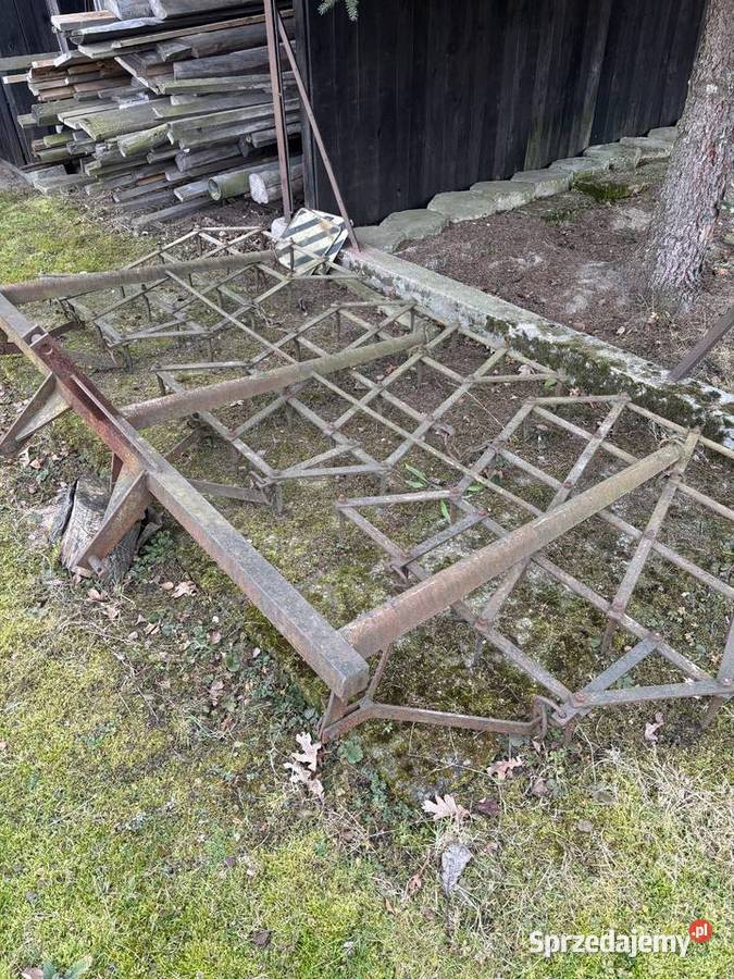 Brony zębowe Palikówka