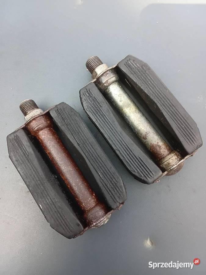 Komar pedała Milejewo