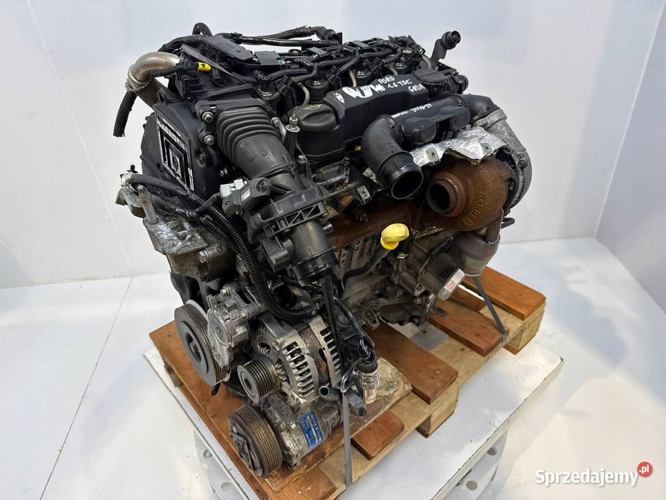 SILNIK G8DA Ford Focus II MK2 C C 16 TDCI 109 Silniki kompletne Chełm
