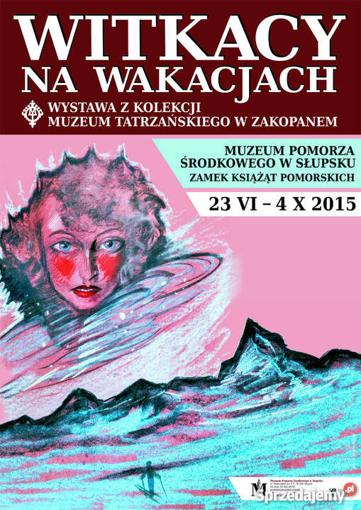 Witkacy na wakacjach Słupsk sprzedam