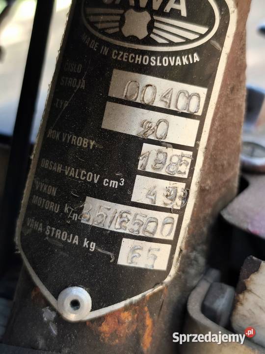 Jawka kaczka sprawna szybka Kolsko