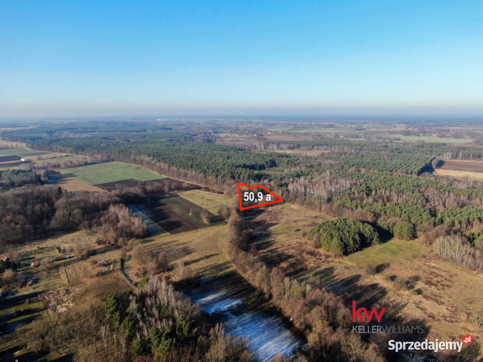 Sprzedam grunt 5090m2 Kuźniczysko