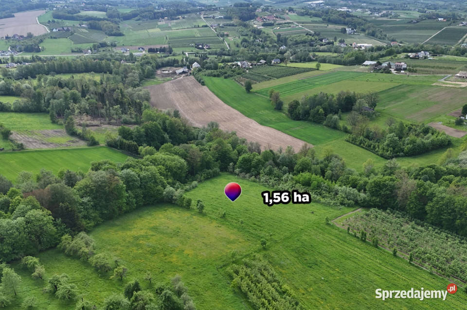 Działka rolnoleśna 156 ha Sadek Jodłownik sprzedam