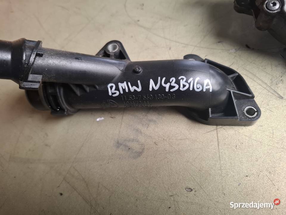 BMW E60 E90 E87 16 N43B16A KRÓCIEC WODY osobowe świętokrzyskie Kielce
