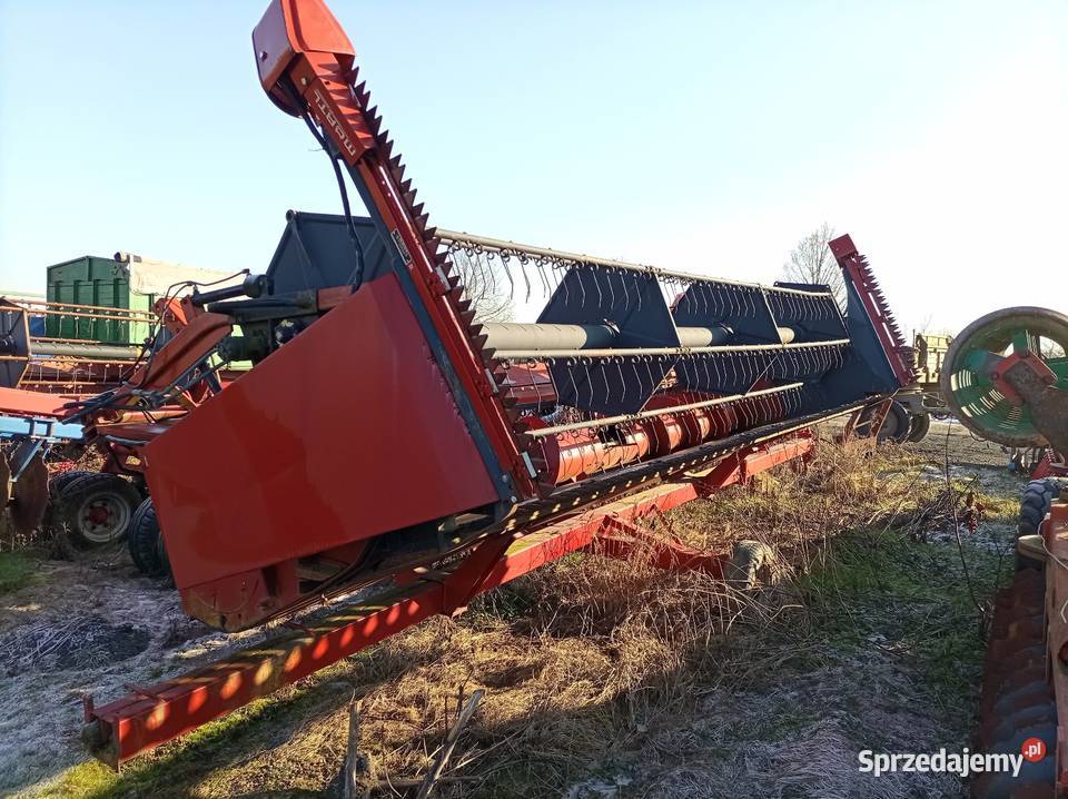 Heder Case 21881680 i inne Brzeg