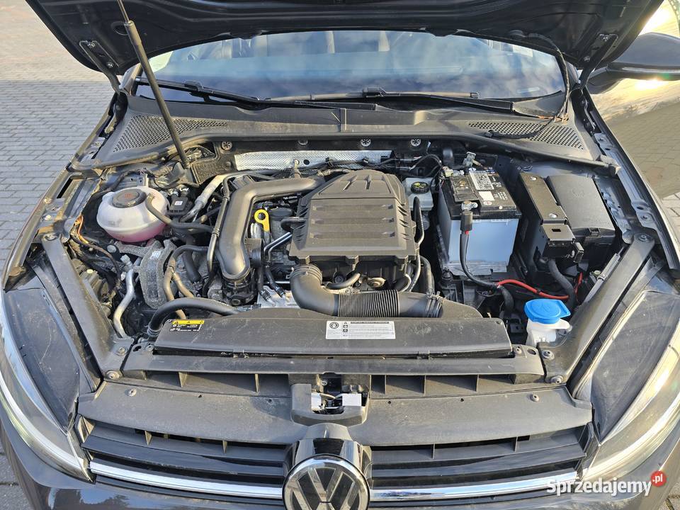 Volkswagen Golf Trendline 2019 FV23 4/5 Sochaczew