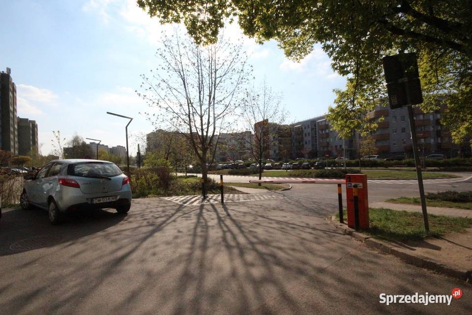 Pokój 12 met Bulwaru Dedala WINDA Wrocław własność Wynajem sprzedam