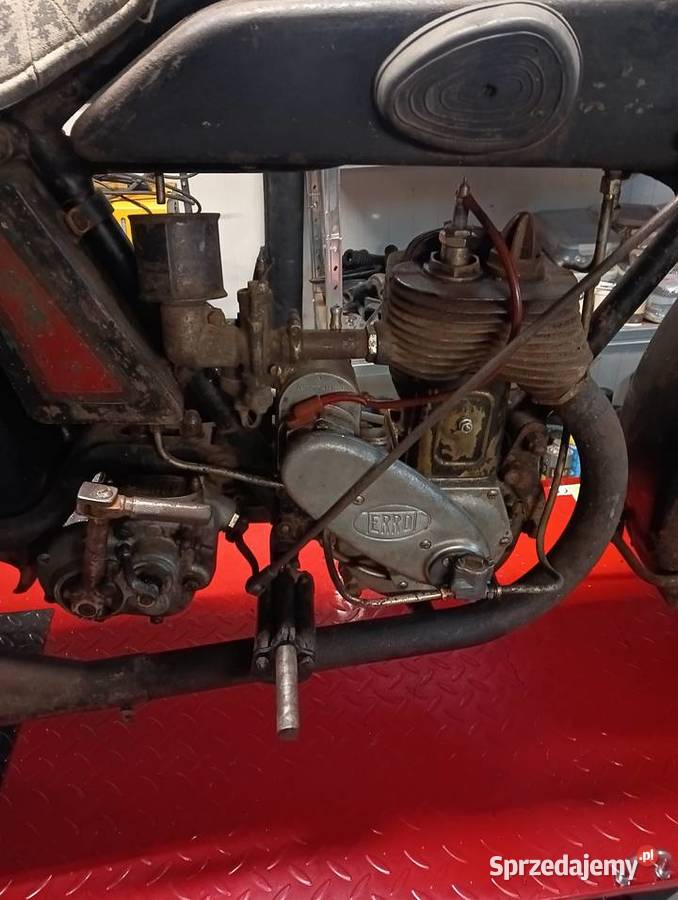 Sprzedam terrot h Pozostałe Gostycyn