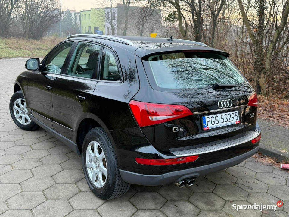 Audi Q5 Audi Q5 20TDI 140 QUATTRO Klimatronic 8R Gostyń