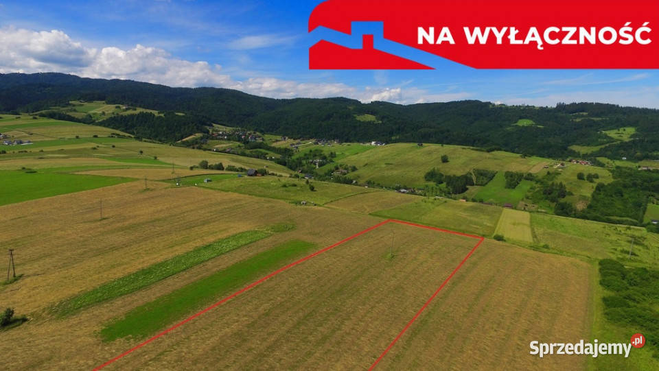 Działka w Grywałdzie 11003 ha warunki zabudowy Sprzedaż małopolskie Grywałd sprzedam
